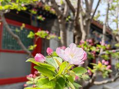 -颐和园