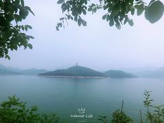 -望湖烤鱼