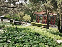 -聚德福海鲜家常菜(刘庄店)