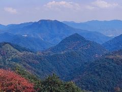 -午潮山国家森林公园