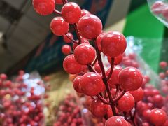 -曲阳花鸟市场(曲阳路店)