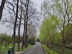-广富林郊野公园