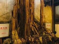 -文儒九号·闽菜馆(三坊七巷店)