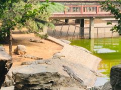 -石家庄市动物园