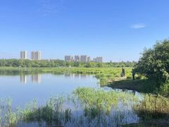 -哈尔滨大剧院