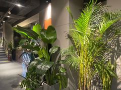 -UMe·玖觅(曲江店)