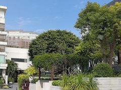 -广州白天鹅宾馆