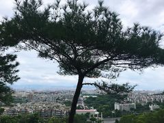 -仙岳公园