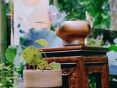 -杭州植物园