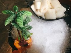 -探窝·竹笙椰子鸡(杨箕店)