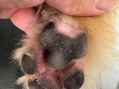 -comecome来吧宠物(奥克斯中心店)