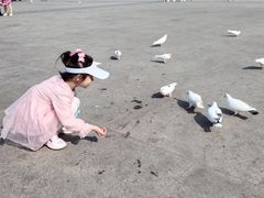 -海河外滩公园