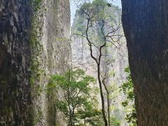 -雁荡山风景名胜区