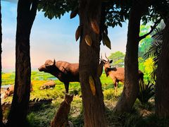 -国家自然博物馆