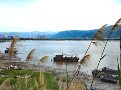 -北岐滩涂