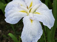 -上海植物园-4号门售票处