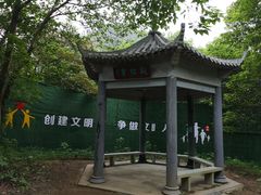 -羚羊峡古栈道森林公园