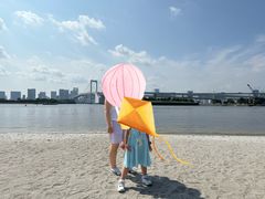-台场海滨公园船码头