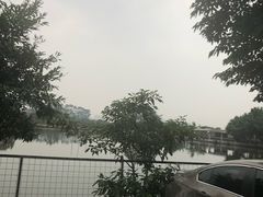-伟记牛蹄(道滘店)