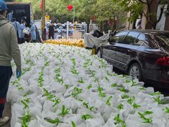 -农工商超市(金沙江路店)