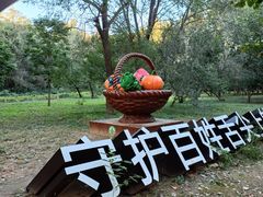 -廊坊市自然公园