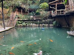 -海南槟榔谷黎苗文化旅游区