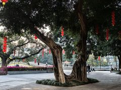 -荔湾湖公园