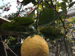 -老宅原住民沙茶面精品小吃(龙头路店)