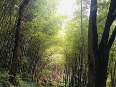 -西湖风景区十里琅珰-五云山