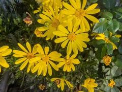 -鼓楼(西湖风景名胜区)