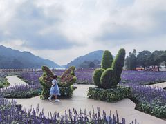 -广州市石门国家森林公园