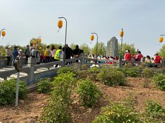 -洛阳市隋唐城遗址植物园