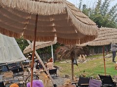 -HERRE·FARM 赫尔露营农场·团建聚会包场