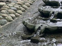 -成都市活水公园