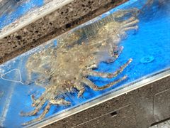 -万达广场(宜兴店)