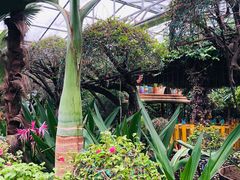 -呀路古热带植物园