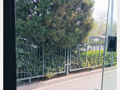-玲珑塔公园