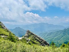 -朱雀国家森林公园
