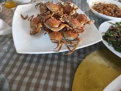 -金台阶鱼馆(于桥水库店)