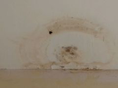 -屋顶顶城市·江景酒店-客房部