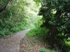 -敬亭山风景名胜区