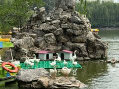 -团结湖公园
