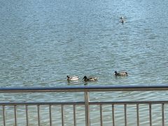 -北京奥林匹克公园