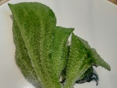 -东瓯大酒店(温州梧田老街店)