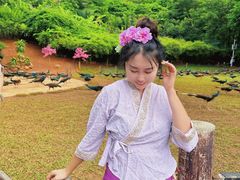 -西双版纳勐泐文化旅游区