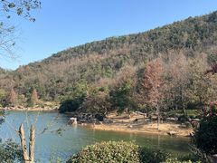 -桃花岭景区