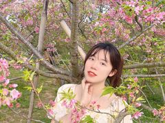 -天适樱花悠乐园