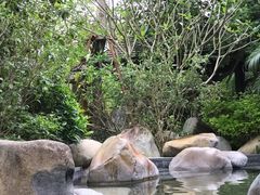 -水底山庄园温泉
