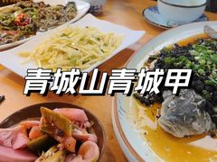 -青城甲(青城山店)