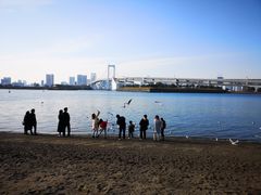 -台场海滨公园船码头